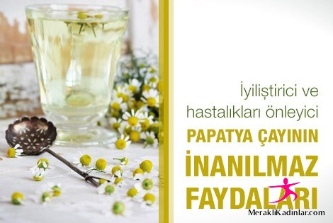 Papatya Çayının Faydaları 6